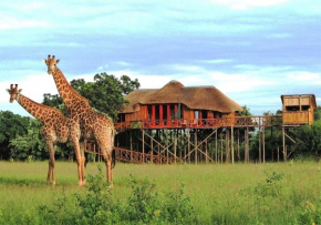 Pezulu Tree House Lodge